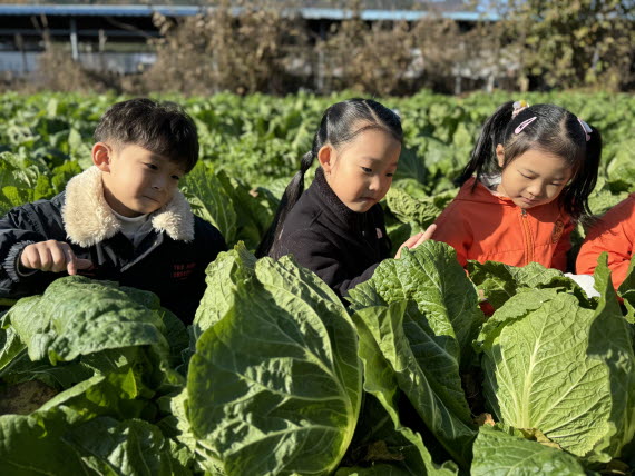 산들꽃 숲체험 학교에서 배추&무를 관찰했어요~